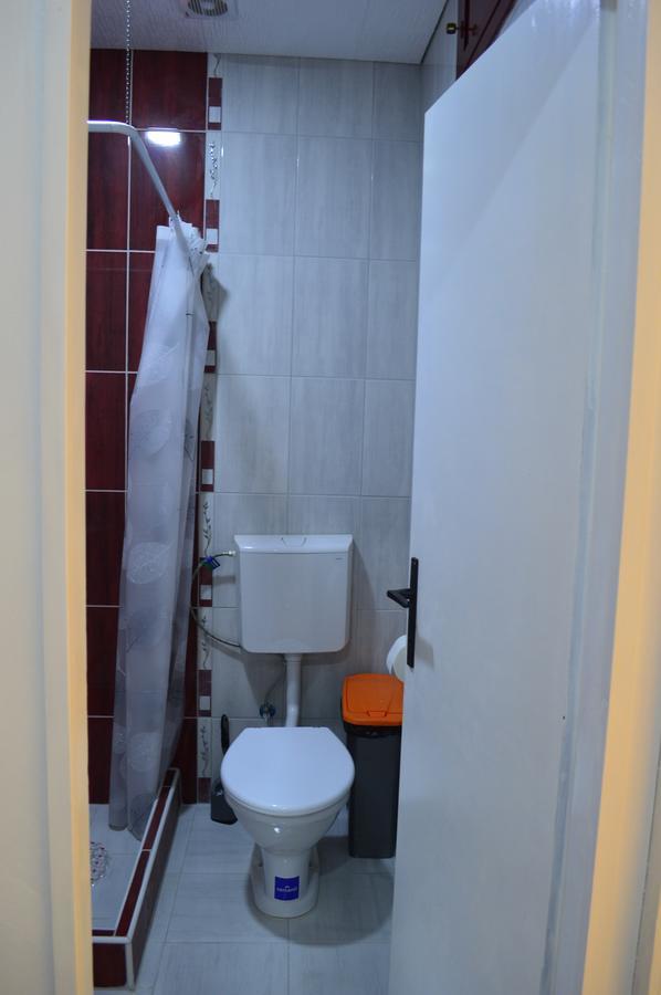 Apartman Linera Sokobanja Kültér fotó